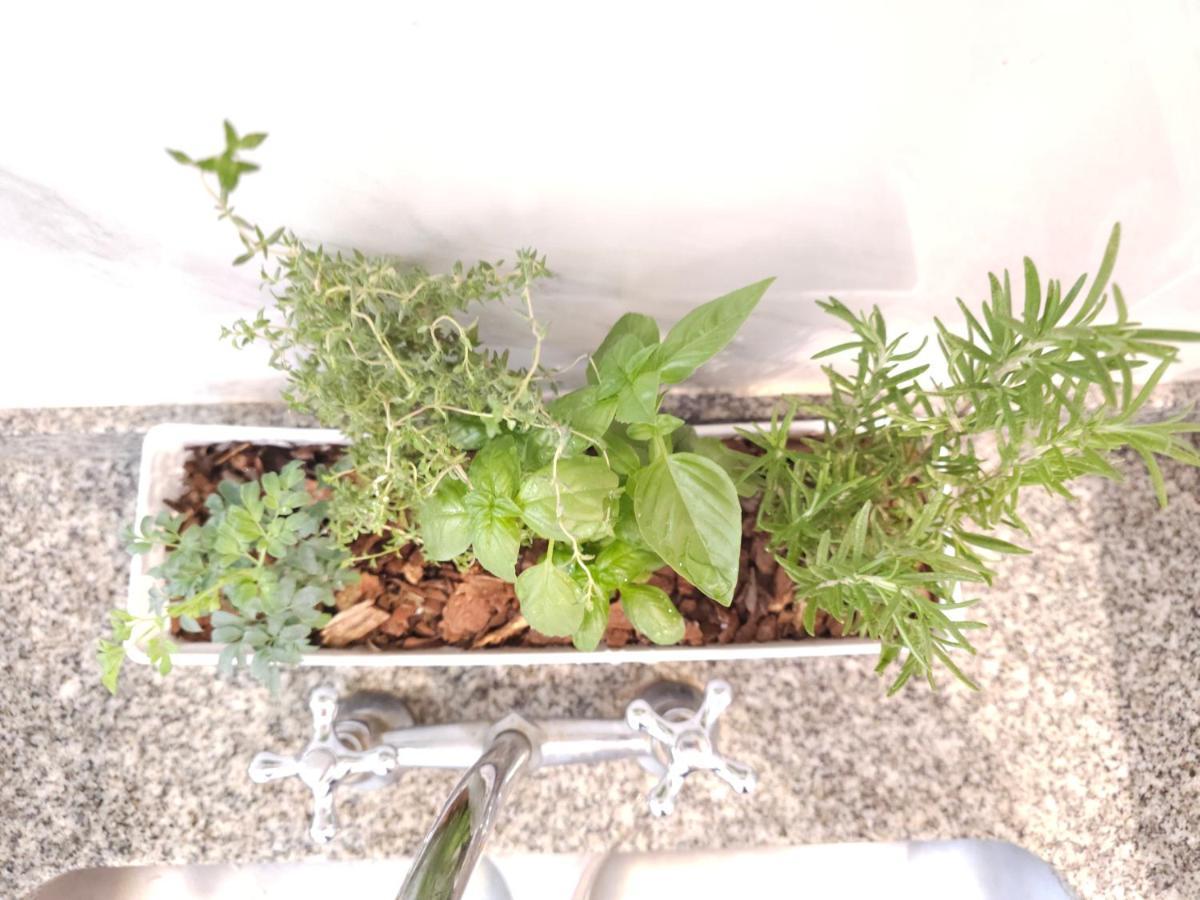 Milca Celeste Nueva Córdoba Buitenkant foto